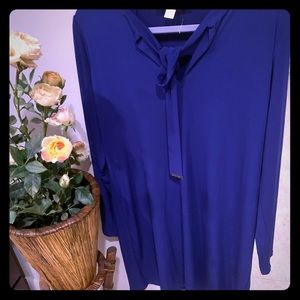 A long sleeve blue dress NWOT
